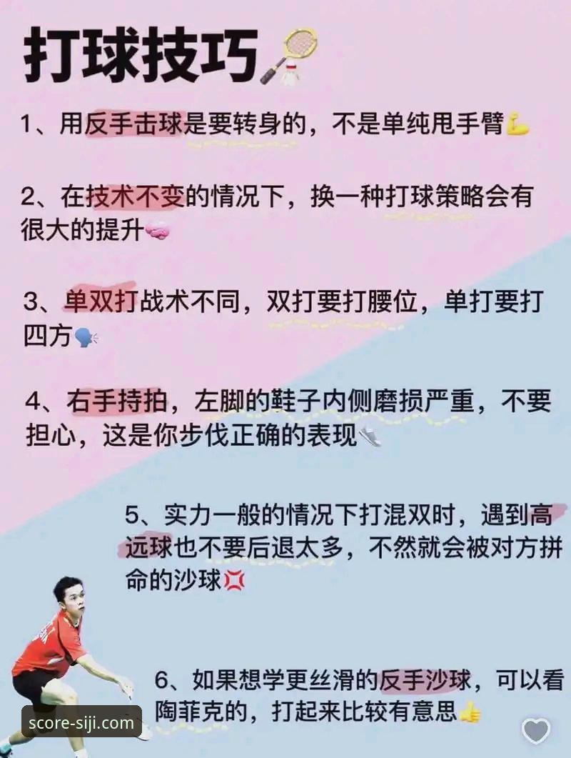 揭秘精准赛事分析最新版背后的真相：新手必看的四季体育平台操作指南